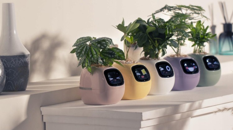 Inteligentní květináč PLANTSIO IVY, konektivita